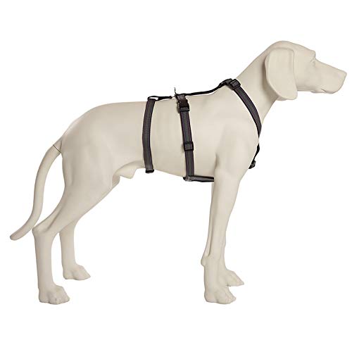 Feltmann NoExit Hundegeschirr® - ausbruchssicher, Panikgeschirr, Silber Muster, Bauchumfang 55-75 cm, 20 mm Bandbreite von Feltmann