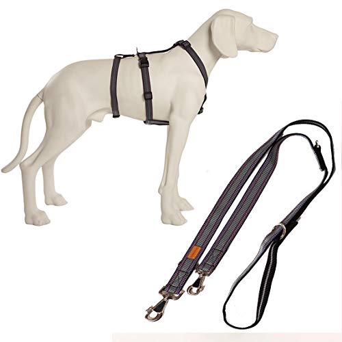 Feltmann NoExit Hundegeschirr® - ausbruchssicher, Panikgeschirr, Silber Muster, Bauchumfang 70-90 cm, 25 mm Bandbreite, mit passender Führleine 210 cm, 3-Fach verstellbar von Feltmann