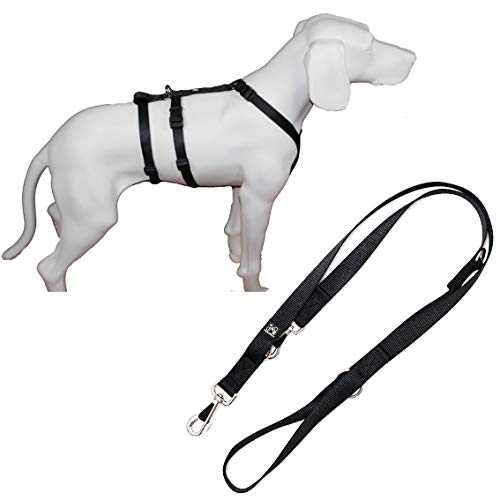 Feltmann NoExit Hundegeschirr®, mit passender Führleine 210 cm, 3-Fach verstellbar - ausbruchssicher, Panikgeschirr, Unifarben Schwarz, Bauchumfang 40-60 cm, 15 mm Bandbreite von Feltmann