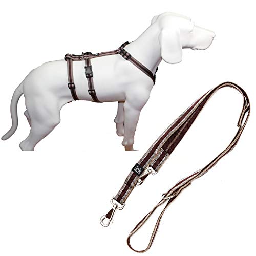 Feltmann NoExit Hundegeschirr® - ausbruchssicher, Panikgeschirr, braun Muster, Bauchumfang 70-90 cm, 25 mm Bandbreite, mit passender Führleine 210 cm, 3-Fach verstellbar von Feltmann