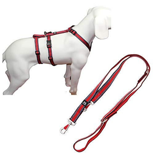 Feltmann NoExit Hundegeschirr® - ausbruchssicher, Panikgeschirr, rot Muster, Bauchumfang 70-90 cm, 25 mm Bandbreite, mit passender Führleine 210 cm, 3-Fach verstellbar von Feltmann