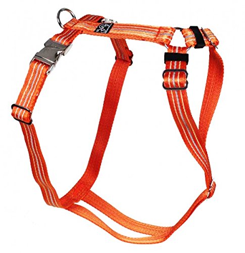 Feltmann Premium Hundegeschirr mit Alu-Max®-Metall-Steckschlössern, Soft-Nylonband Reflektierend orange 40-60 cm, 15 mm von Feltmann