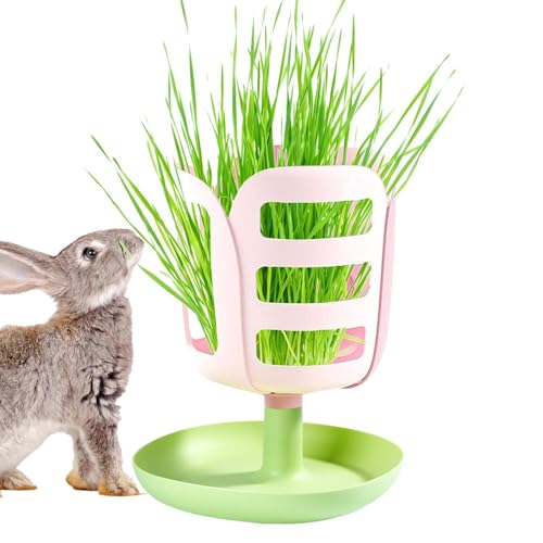 Fenayuu Kaninchen -Lebensmittelspender, Hay Feeder,Blumenform Heuhalter PP Kaninchen Feeder mit Bodenschalendesign - Kleine Tierfutter- und Wasserversorgung für Kinder, Familie, Freunde, Zuhause von Fenayuu