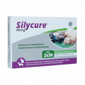 Silycure 40 mg Tabletten für Katzen und kleine Hunde 2 x 60 Tabletten von Fendigo