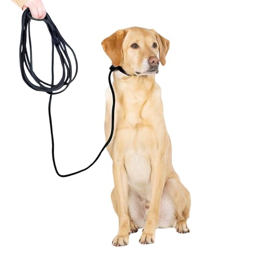 Fenrir Lange Leine, 6 m, professionelle Hundetrainingsleine zum Trainieren von Rückrufen, perfekt für Rückruf, einfach zu bedienen, federbelasteter Stopper, leicht und langlebig von Fenrir