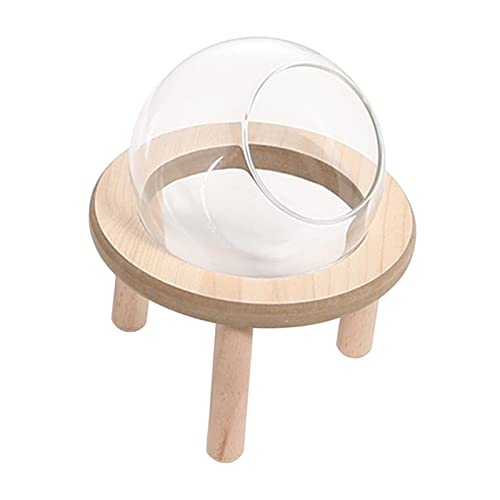 Fenteer Hamster Sandbad Container Badezimmer Große transparente Dusche Badewanne Kleintierbad Hamster Sandbad Box für Eichhörnchen Mäuse Kleintier, 10CM von Fenteer