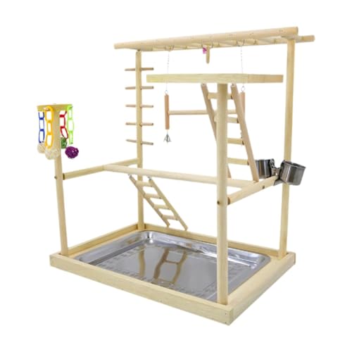 Fenteer Parrot Playground Bird Play Stand, Papageien Barchen Bird Play Fitnessstudio Holzpapagei von Fenteer