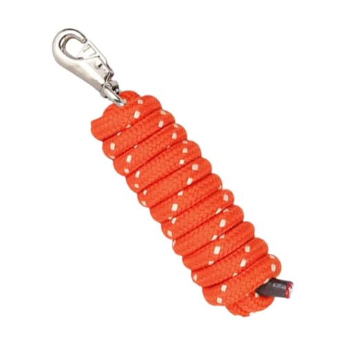 Fenteer Pferd Bleiseil Hund Auslaufen Tracking Leine Nylon Rückruf Gehorsam Seil 3M mit Clip REIT ausrüstung, Orange von Fenteer