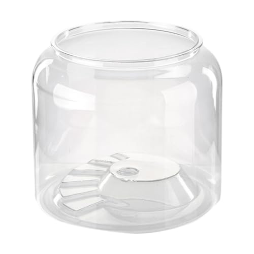 Fenteer Turtle Tank Aquarium Aquarium Clear Table Mode Stief Terrarium DIY Mikrolandschaft für Café Apartment Schlafsaal Esszimmerdekoration, XL ohne Deckel von Fenteer