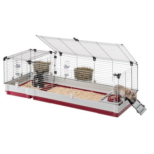 FERPLAST - Meerschweinchen Käfig - Hasenkäfig - Kaninchenkäfig - Häuschen und Zubehör Inklusive - Viel Platz für Kaninchen - Öffnenden & Modular 162 x 60 x h 50 cm - Krolik, 160 von Ferplast