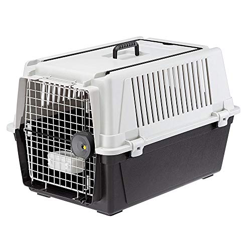 Ferplast Hundetransportbox Transportbox für mittelgroße Hunde Atlas 40, Reisebox für Hunde, Sicherheitsverriegelung, Lüftungsgitter, 49 x 68 x h 45,5 cm Grau von Ferplast