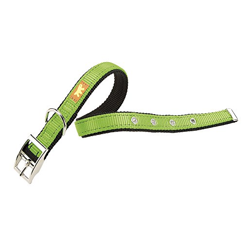 Ferplast 75167923 Hundehalsband Dual CF15/35 Colours, Halsumfang: 27-35 cm, Breite: 1,5 cm, grün von Ferplast