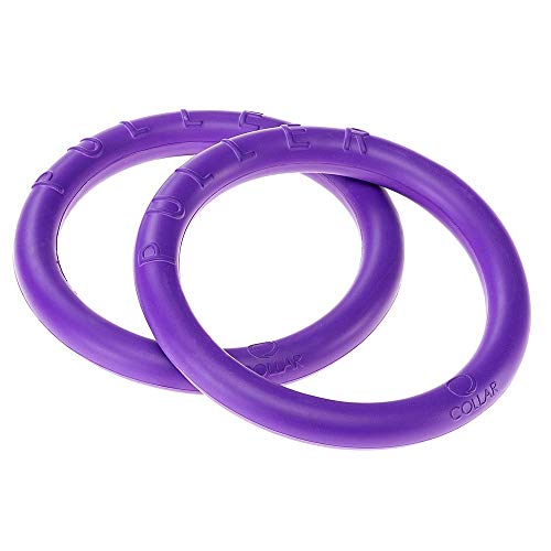 Ferplast Hunde Spielzeug, Hundetraining Ring zum Kauen, zum Laufen, Springen, Schießen, Ungiftig, Schwimmend, Puller Mini, Hundespielzeug für kleine Hunde und Welpen, Set mit 2 Fitness Ringen von Ferplast