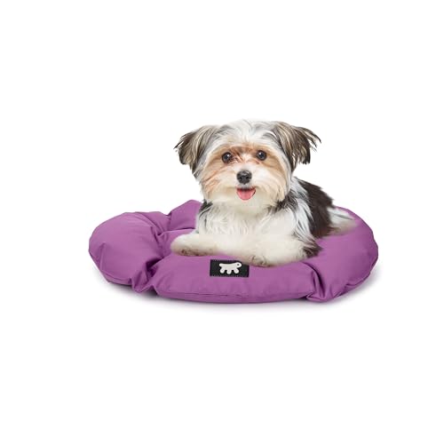 Ferplast Hundebett, Hundekissen für kleine Hunde, kratzfester Stoff, maschinenwaschbar bei 30°, wasserdichte Hundematte, 55 x 36 x 3 cm. Viola von Ferplast