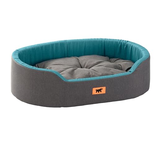 Ferplast Hundebett Dandy, abnehmbares, waschbares Kissen, Baumwollbezug mit weicher Polsterung, Bett für mittelgroße Hunde, 80 x 55 x H 18 cm, Blaugrün von Ferplast