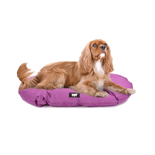 Ferplast Hundebett, Hundekissen für mittelgroße Hunde, kratzfester Stoff, maschinenwaschbar bei 30°, wasserdichte Hundematte, 78 x 50 x 3 cm. Viola von Ferplast