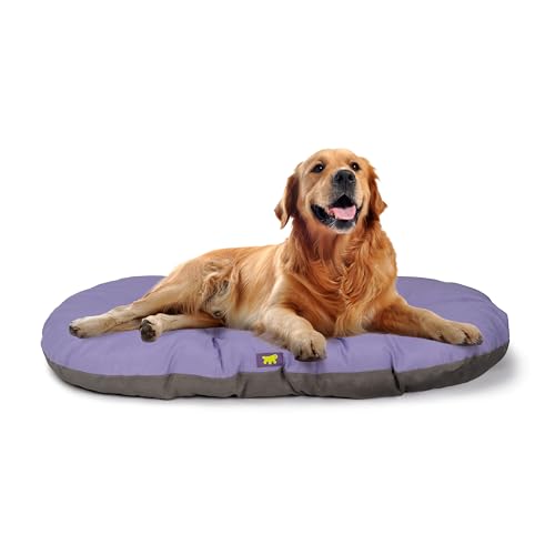 Ferplast Hundebett Relax, Hundekissen, Katzenkissen, Hundematte für Hundehütten und Autos – waschbar – aus Baumwolle mit weicher Polsterung, 100 x 63 cm. Lila von Ferplast