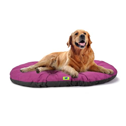 Ferplast Hundebett Relax, Hundekissen, Katzenkissen, Hundematte für Hundehütten und Autos – waschbar – aus Baumwolle mit weicher Polsterung, 100 x 63 cm. Viola von Ferplast