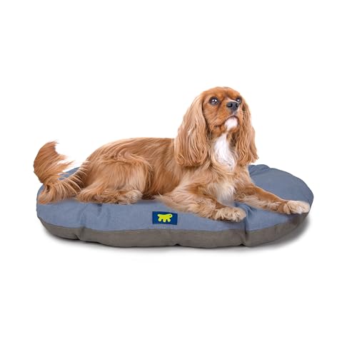 Ferplast Hundebett Relax, Hundekissen, Katzenkissen, Hundematte für Hundehütten und Autos – waschbar – aus Baumwolle mit weicher Polsterung, 65 x 42 cm. Himmelblau von Ferplast