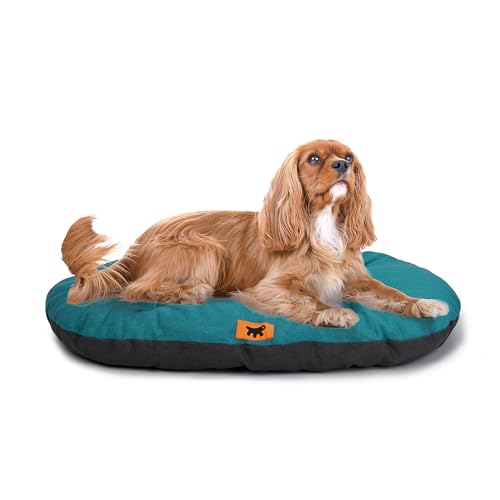 Ferplast Hundebett Relax, Hundekissen, Katzenkissen, Hundematte für Hundehütten und Autos – waschbar – aus Baumwolle mit weicher Polsterung, 65 x 42 cm. Ottanio von Ferplast