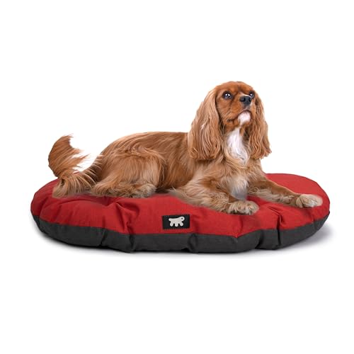 Ferplast Hundebett Relax, Hundekissen, Katzenkissen, Hundematte für Hundehütten und Autos – waschbar – aus Baumwolle mit weicher Polsterung, 65 x 42 cm. Rot von Ferplast