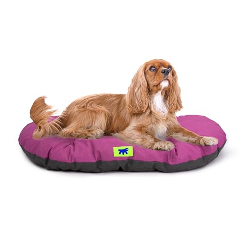 Ferplast Hundebett Relax, Hundekissen, Katzenkissen, Hundematte für Hundehütten und Autos – waschbar – aus Baumwolle mit weicher Polsterung, 65 x 42 cm. Viola von Ferplast