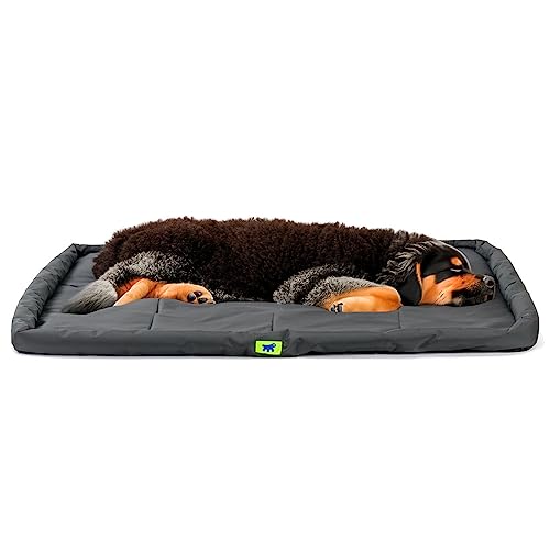 Ferplast Hundekissen Hundesofa Hundebette für Große Hunde Hundekorb Bezug Orthopädisches Hundebett Hundematratze Waschbar Hundematte Wasserdicht 122 x 76 x 5 cm. Schwarz von Ferplast