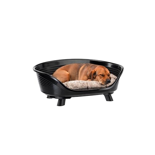 Ferplast Hundebett & Katzenbett mit Baumwollkissen, erhöhtes Hundebett Medium, Hundebett waschbar, Hundekorb, atmungsaktiv & rutschfest, Throne 70,5 x 52 x h 28,5 cm, Schwarz von Ferplast