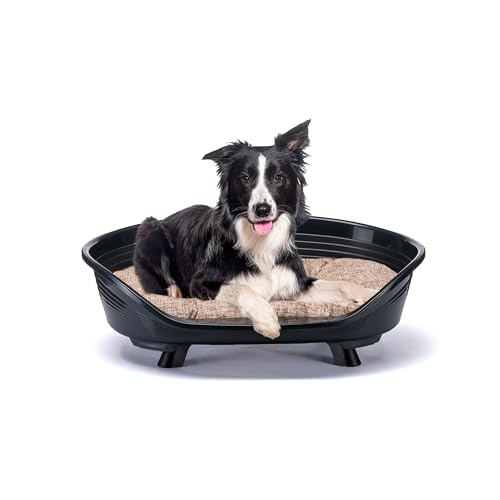 Ferplast Hundebett & Katzenbett mit Baumwollkissen, erhöhtes Hundebett Medium, Hundebett waschbar, Hundekorb, atmungsaktiv & rutschfest, Throne 82 x 59,5 x h 29,5 cm, Schwarz von Ferplast