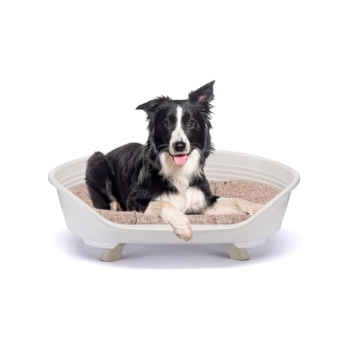 Ferplast Hundebett & Katzenbett mit Baumwollkissen, erhöhtes Hundebett Medium, Hundebett waschbar, Hundekorb, atmungsaktiv & rutschfest, Throne 82 x 59,5 x h 29,5 cm, Weiß von Ferplast