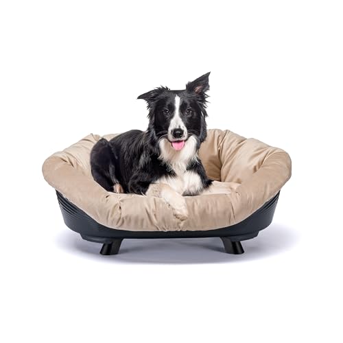 Ferplast Hundebett & Katzenbett mit Kissen, Hundebett waschbar, erhöhtes Hundebett, Hundebett mittelgroße Hunde, atmungsaktiv & rutschfest, Sofa' Throne 85 x 62 x h 33 cm, Schwarz von Ferplast