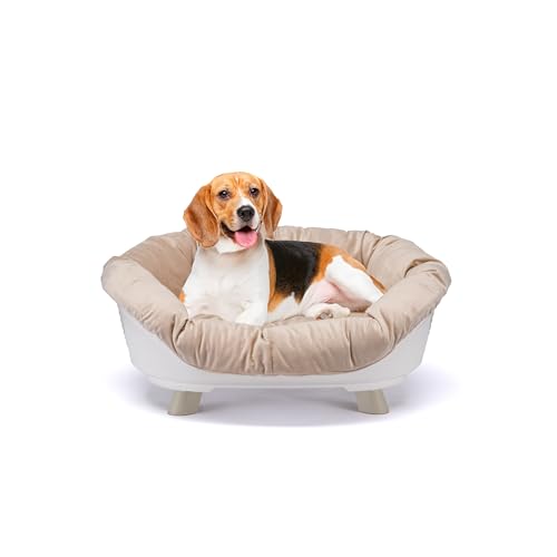 Ferplast Hundebett & Katzenbett mit Kissen, Hundebett waschbar, erhöhtes Hundebett Klein, katzenbett waschbar, atmungsaktiv & rutschfest, Sofa' Throne 73 x 55 x h 32 cm, Weiß von Ferplast