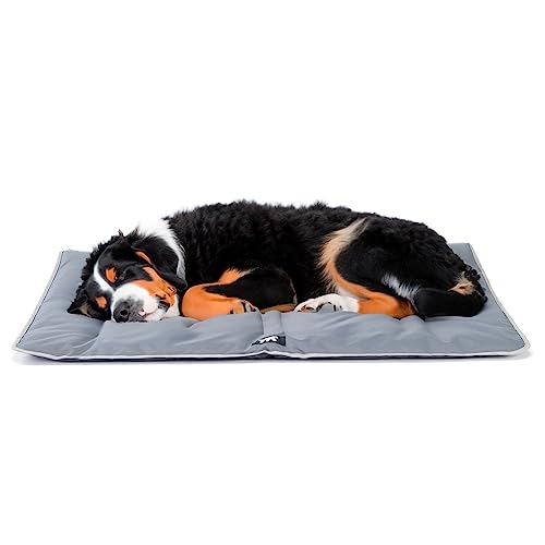 Ferplast Hundematte Extra Groß - Waschbares Hundebett - Hundekissen - Wasserdicht & Kratzfest - Matte für Hundehütten und Auto, Hundekorb - Jolly - 108 x 79 cm, XL, GRAU von Ferplast