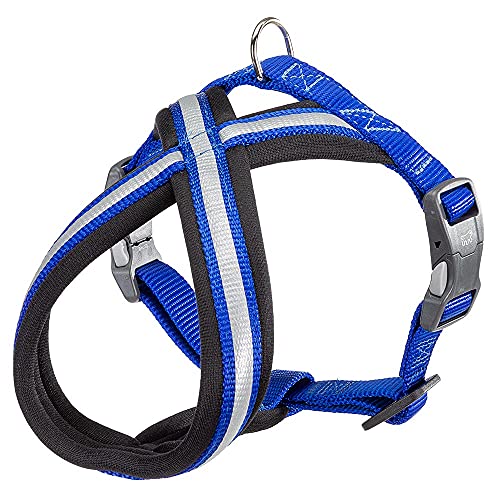 Ferplast Hundegeschirr Daytona Cross, kleines Hundegeschirr aus Nylon, Hundegeschirr mit weicher Polsterung, Reflektierend und Verstellbar. Mit Magnetschnalle. Blau von Ferplast