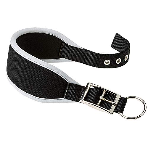 Ferplast Hundehalsband ERGOCOMFORT, Windhundhalsband, weiche Polsterung, Silber von Ferplast