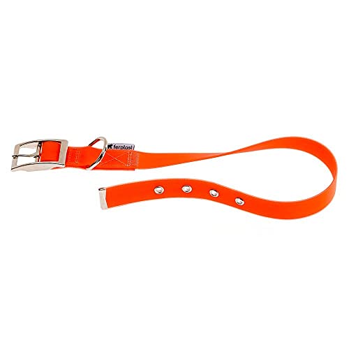 Ferplast Hundehalsband EVOLUTION CF25/45, Hypoallergen, Waschbar, Lochverstellung, Orange von Ferplast