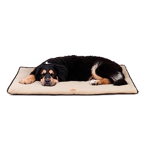 Ferplast Hundekissen Hundesofa Hundebett Große Hunde Zweiseitig Kratzfestes und wasserdichtes Gewebe, warmes MikrofleeceWaschbare Hundematte108 x 79 x 3,5 cm.Braun von Ferplast