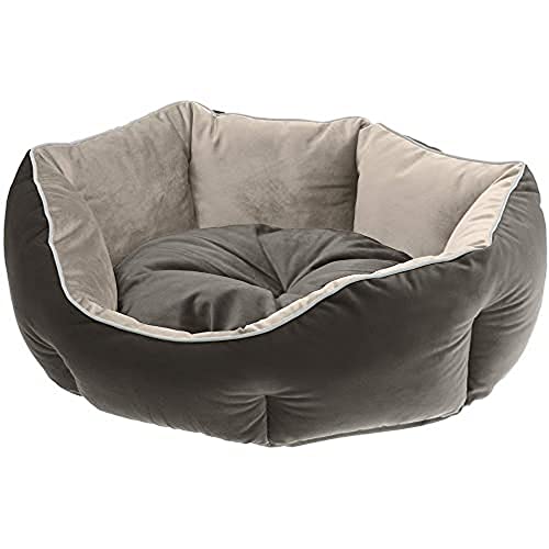 Ferplast Hundekörbchen Hundesofa Katzenbett QUEEN 50 mit Kissen, Kuschelbett für Haustiere, beidseitig nutzbar, weicher Samt, waschbar, 50 x 40 x H 18 cm, grau von Ferplast