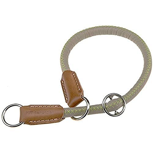 Ferplast Hundetrainingshalsband 1 Stück 250 g von Ferplast