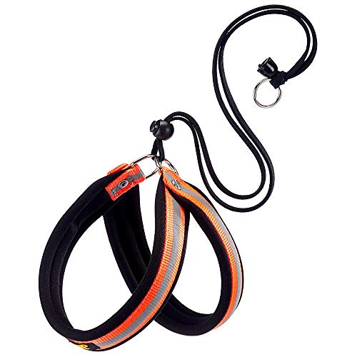 Ferplast Geschirr für kleine Hunde AGILA Reflex 2 Hundegeschirr mit weicher Polsterung, schnelles und einfaches Kordelzug-Verschlusssystem, Brustumfang 32–50 cm. Orange von Ferplast