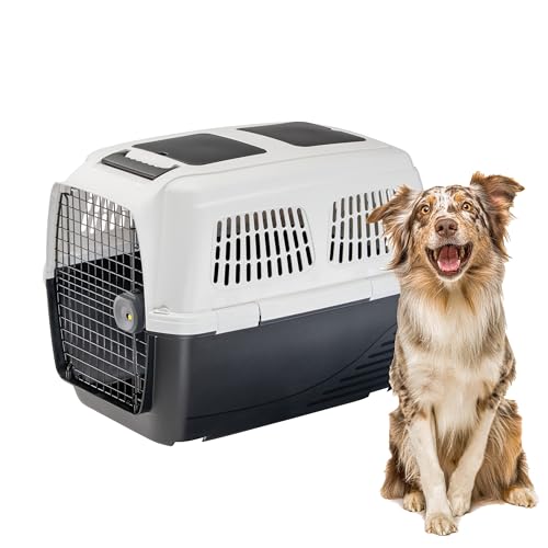 Ferplast Hundetransportbox Clipper Plus, IATA- Hundetransportbox, mittlere Hundetransportbox max 30 kg, Sicherer Verschluss, mit Doppelfach für Zubehör, Abnehmbarer Griff, 87 x 57 x h 60 cm von Ferplast