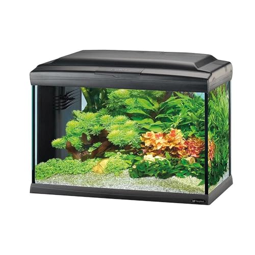 Ferplast Hydor Glasaquarium CAYMAN 60 PROFESSIONAL LED, LED-Lampen für Süßwasser, 75 L Fassungsvermögen, Innenfilter und Heizung, Schwarz von Ferplast