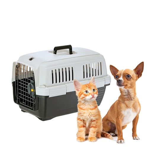 Ferplast Katzentransportbox Clipper 1, Hundetransportbox, IATA-zugelassene Reisebox, Haustiertransportbox für kleine Hunde und Katzen bis 5 kg von Ferplast