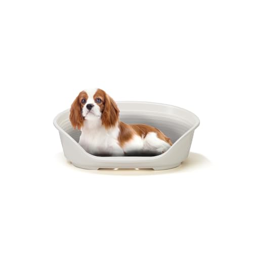 Ferplast Hundebett Katzenbett Kunststoff-Hundebett Medium Hundeliege waschbar Hundekorb atmungsaktiv rutschfest Siesta Deluxe, 62 x 41 x h 23,5 cm, Weiss von Ferplast