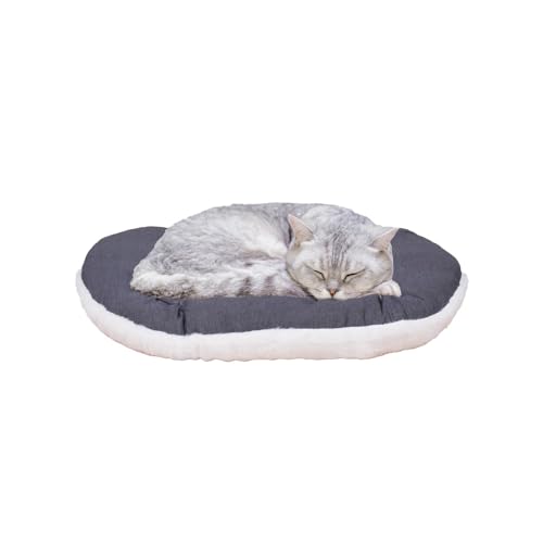 FERPLAST Hundebett & Katzenbett - Hundebett Klein - Hundebett Waschbar - Hundekissen - Matte für Hundehütten, Zwinger und Auto - Hundebett Flauschig - Relax - 43 x 30 CM, XS, BEIGE von Ferplast