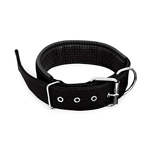 Ferribiella Hundehalsband Nylon gepolstert schwarz 75 x 2,5 cm von Ferribiella