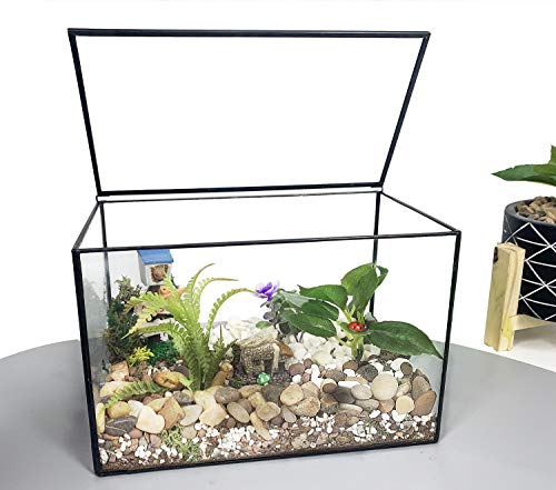 Ferrisland Glas-Pflanzen-Terrarium-Behälter, Wardian-Koffer, für den Innenbereich, Kleiner Sukkulenten-Terrarium-Übertopf mit Tür für Tischdekoration, DIY-Geschenk – 21,1 x 11,9 x 14 cm (Schwarz4) von Ferrisland