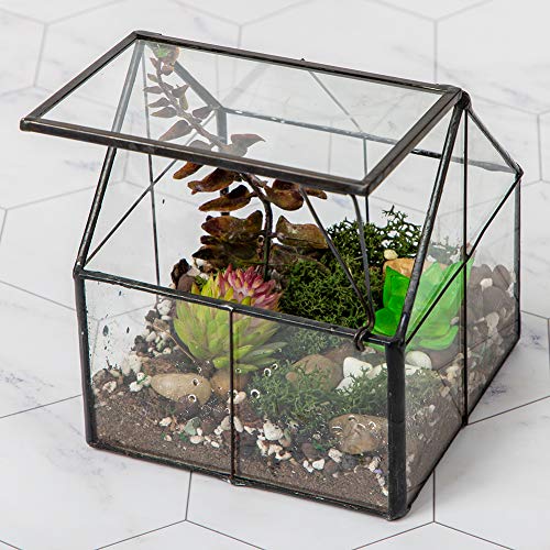 Ferrisland Glas-Pflanzen-Terrarium-Behälter, Wardian, für den Innenbereich, klein, Sukkulenten, Terrarium, Pflanzgefäß mit Tür, für Tischdekoration, DIY-Geschenk, 12,7 x 10,9 x 10,9 cm von Ferrisland