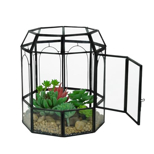 Ferrisland Glas-Terrarium-Pflanzen mit Deckel, schwarzes geometrisches Terrarienglas für Sukkulenten, Luft, fleischfressende Pflanze, Moosschnecke, Vogelkäfigform, Tisch-Gewächshaus, Innendekoration, von Ferrisland