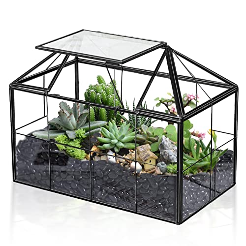 Ferrisland Luftpflanzen-Terrarium-Glas – Haus Sukkulenten Glasterrarium Großer geometrischer Übertopf mit Lippe für Sukkulenten Farn Luftpflanze Tischplatte DIY Geschenk – Miniatur-Gewächshaus von Ferrisland